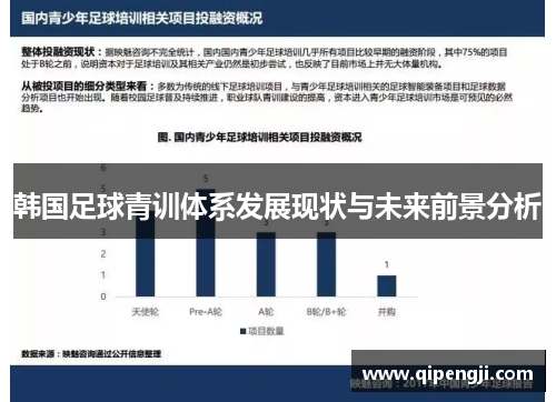 韩国足球青训体系发展现状与未来前景分析